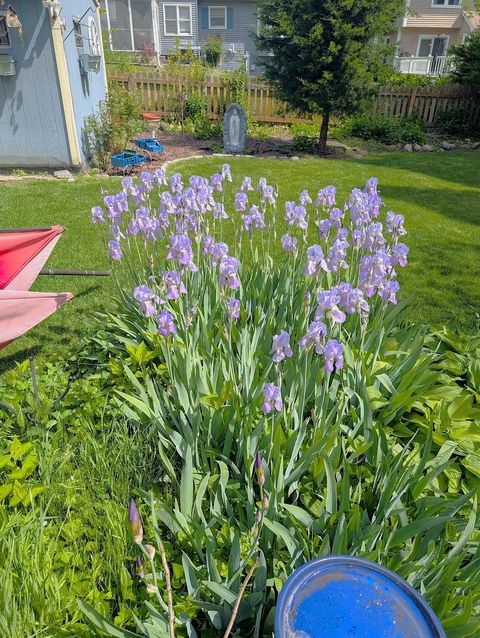 Tiny photo for 1932 Banks Drive, Elgin, IL 60123 (MLS # 12590066)