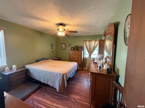 Tiny photo for 50 Jon Street, Metropolis, IL 62960 (MLS # EB460167)