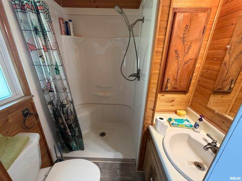 Tiny photo for 50 Jon St Street, Metropolis, IL 62960 (MLS # EB460167)