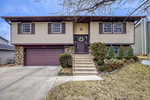 4175 Victoria Drive Hoffman Estates IL 60192