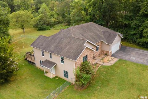 Tiny photo for 186 Bonnie Brae Road, Carbondale, IL 62901 (MLS # EB459672)