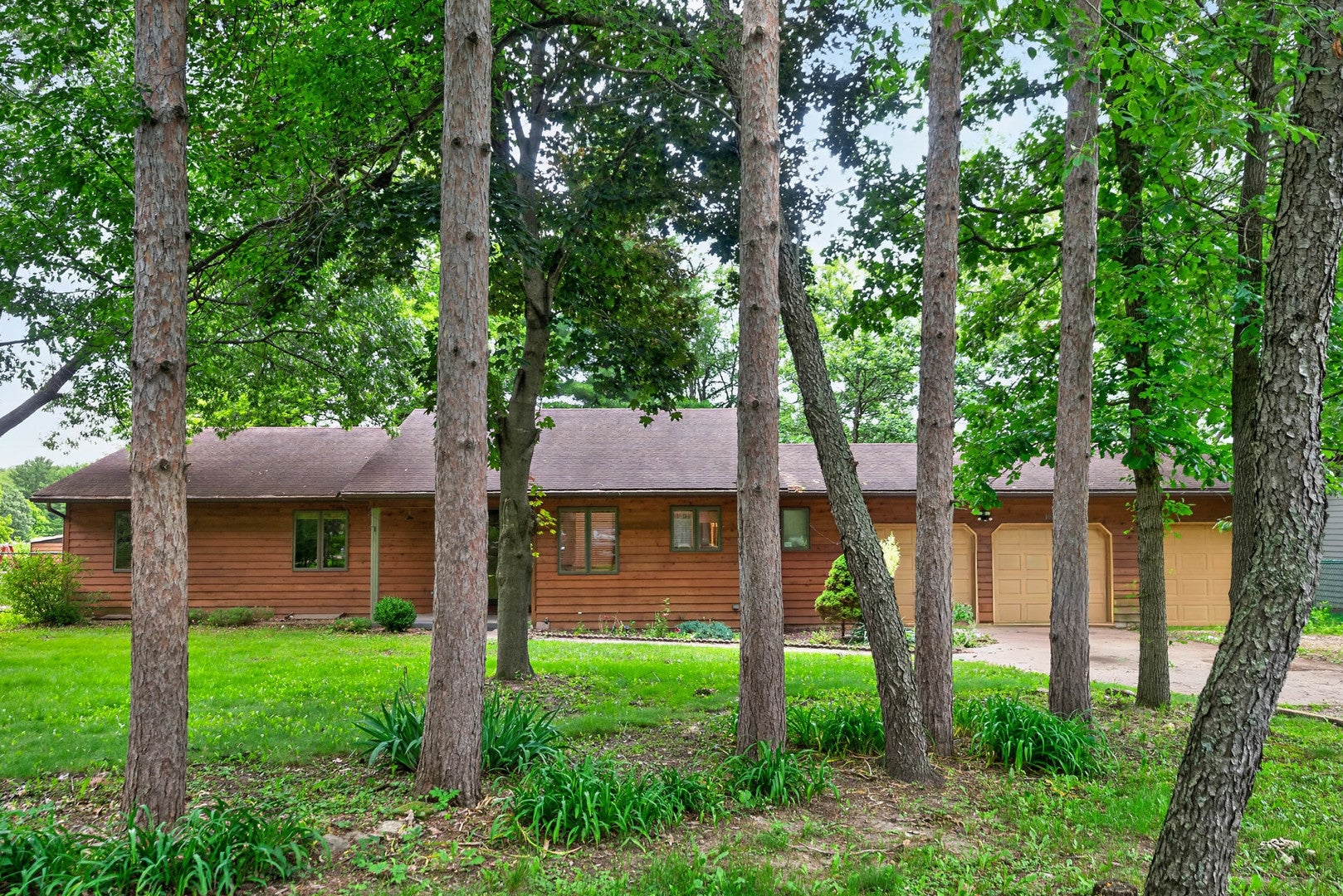 1006 N White Pine Drive