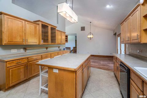 Tiny photo for 125 Princess Lane, Carbondale, IL 62901 (MLS # EB460361)