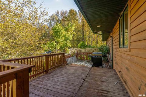 Tiny photo for 125 Princess Lane, Carbondale, IL 62901 (MLS # EB460361)