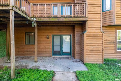 Tiny photo for 125 Princess Lane, Carbondale, IL 62901 (MLS # EB460361)