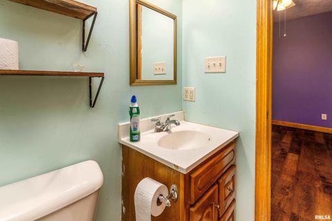 Tiny photo for 125 Princess Lane, Carbondale, IL 62901 (MLS # EB460361)