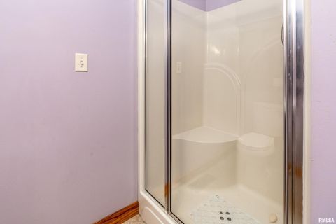 Tiny photo for 125 Princess Lane, Carbondale, IL 62901 (MLS # EB460361)