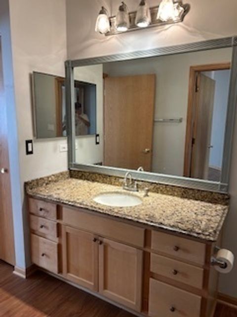 Tiny photo for 20817 W Chinaberry Court, Plainfield, IL 60544 (MLS # 12406595)