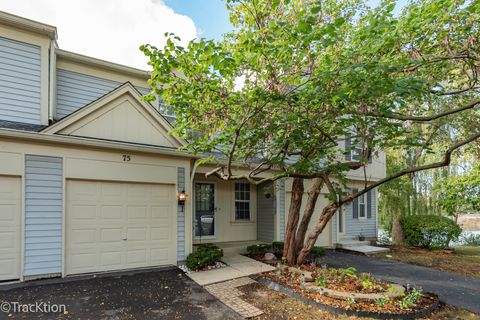 Photo of 75 Saint Croix Court, Aurora, IL 60504 (MLS # 12474733)