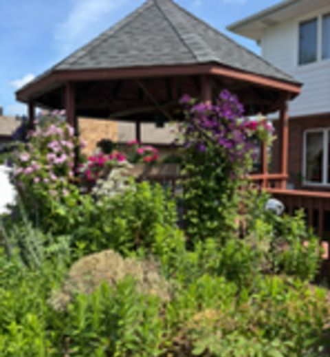 Tiny photo for 1525 Cimarron Drive, New Lenox, IL 60451 (MLS # 12510022)