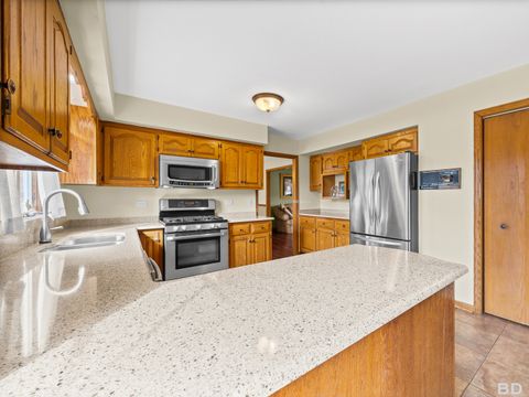 Tiny photo for 1525 Cimarron Drive, New Lenox, IL 60451 (MLS # 12510022)