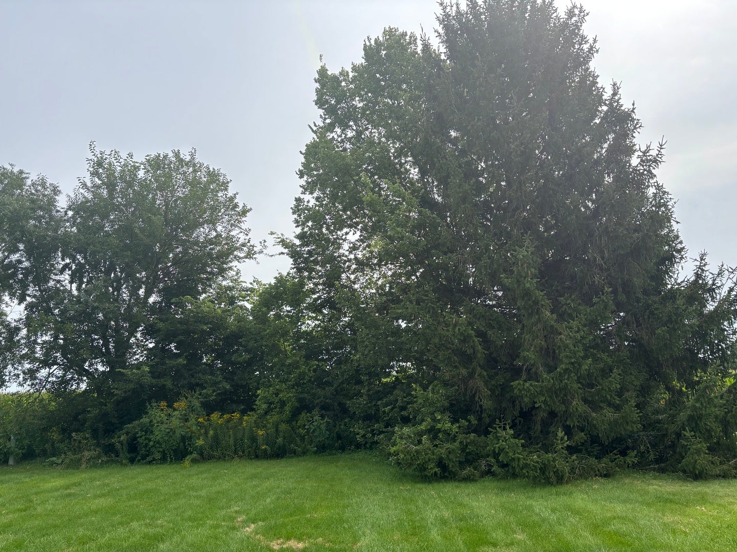 17 Cedar Lane
