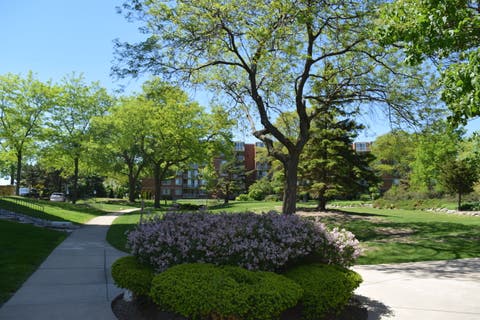 Tiny photo for 2222 S Stewart Avenue #1H, Lombard, IL 60148 (MLS # 12649625)