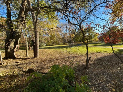 Tiny photo for 205 Simpson Street, Geneva, IL 60134 (MLS # 12513959)