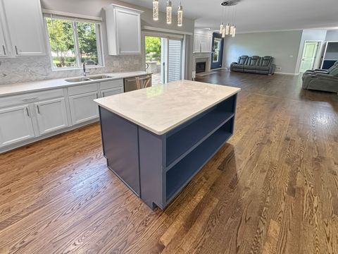 Tiny photo for 136 Lilac Street, Bolingbrook, IL 60490 (MLS # 12414393)