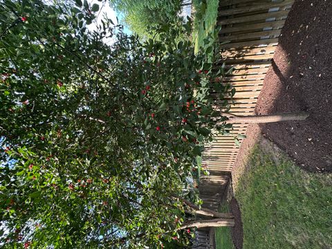 Tiny photo for 136 Lilac Street, Bolingbrook, IL 60490 (MLS # 12414393)