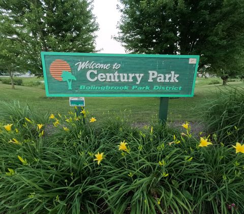Tiny photo for 136 Lilac Street, Bolingbrook, IL 60490 (MLS # 12414393)