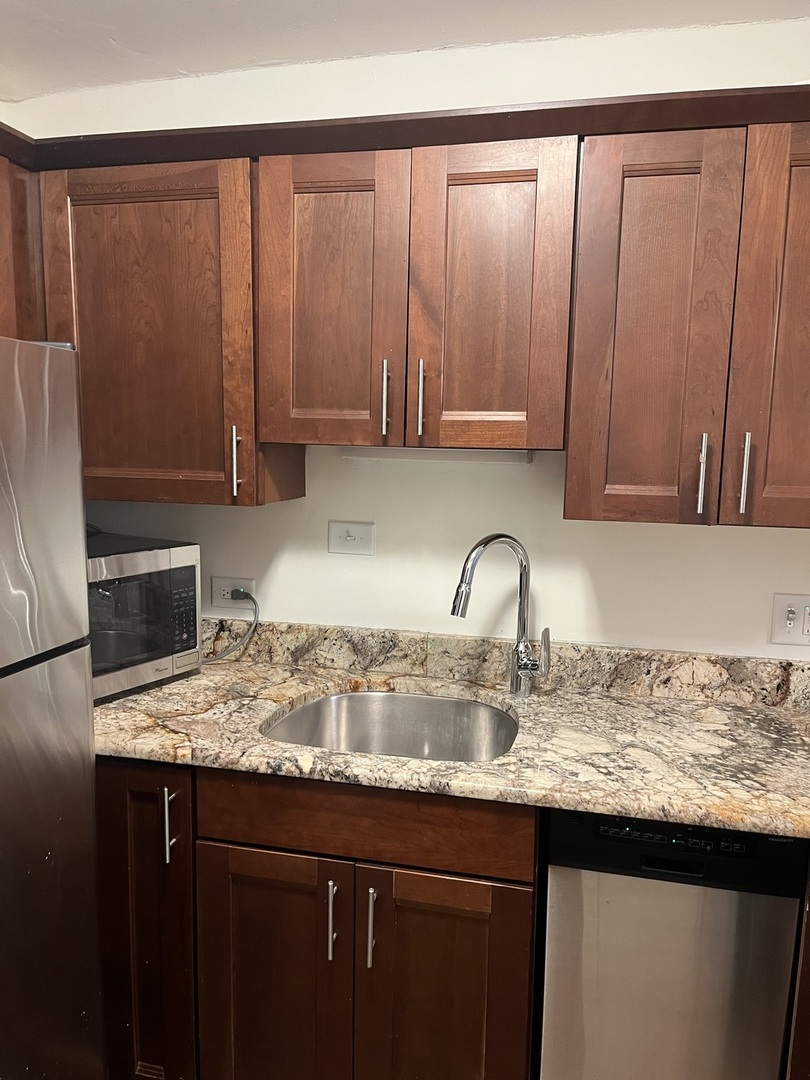 1355 N Sandburg Terrace 1903