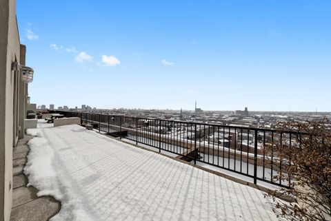 Tiny photo for 1550 S Blue Island Avenue #1210, Chicago, IL 60608 (MLS # 12532544)