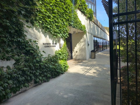 Tiny photo for 155 N Harbor Drive #2505, Chicago, IL 60601 (MLS # 12793656)