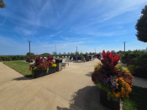Tiny photo for 155 N Harbor Drive #2505, Chicago, IL 60601 (MLS # 12793656)