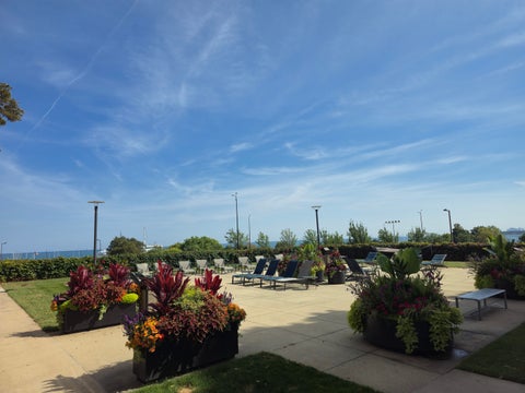 Tiny photo for 155 N Harbor Drive #2505, Chicago, IL 60601 (MLS # 12793656)
