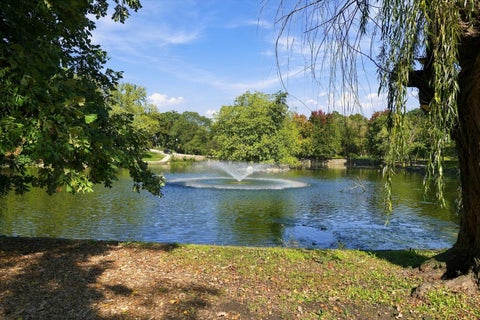 Tiny photo for 774 Terrace Court #R, Elgin, IL 60120 (MLS # 12737418)