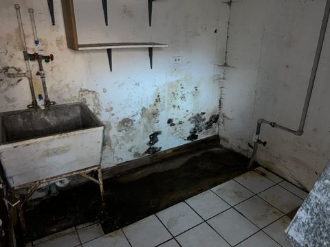 Tiny photo for 11554 S Peoria Street, Chicago, IL 60643 (MLS # 12518694)