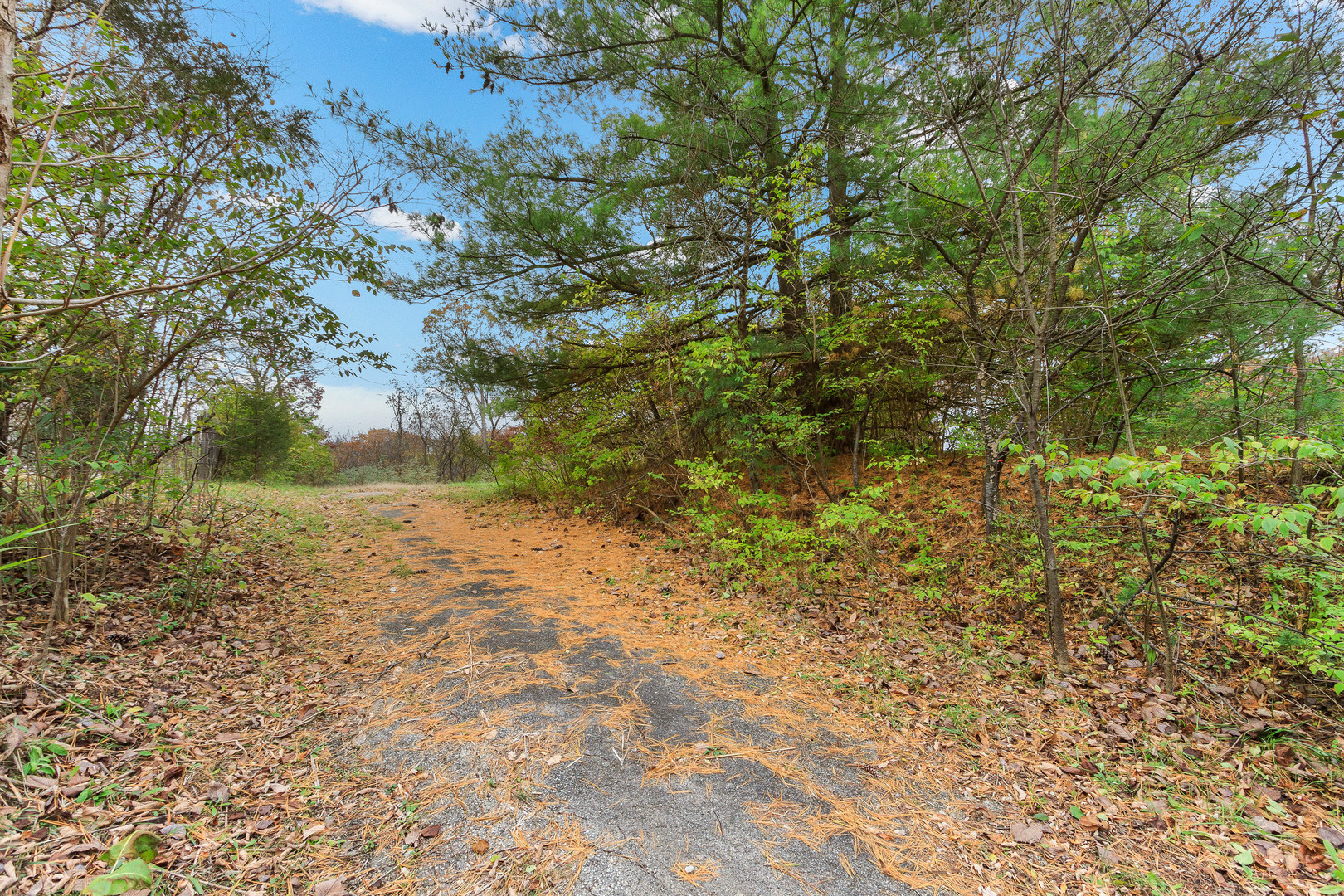 View Marseilles, IL 61341 land