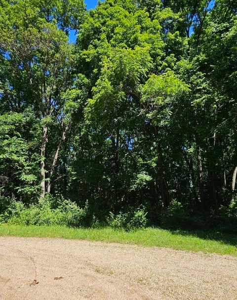 MLS: 12683373