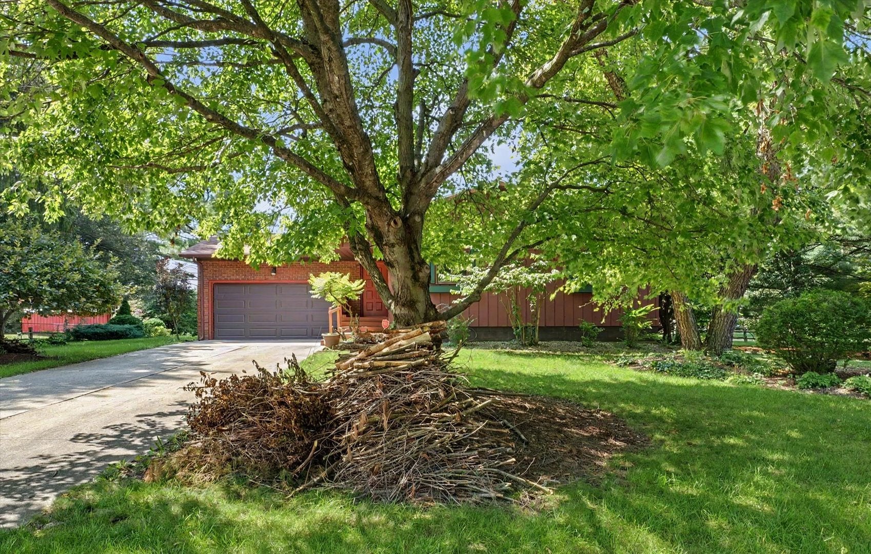 2231 Nancy Lane
