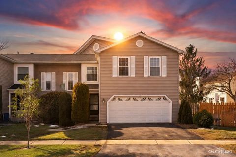 Photo of 1102 Southbridge Lane, Schaumburg, IL 60194 (MLS # 12625109)