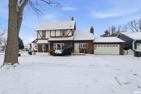 Tiny photo for 503 W PALACE, Geneseo, IL 61254 (MLS # QC4270057)