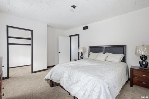 Tiny photo for 503 W PALACE, Geneseo, IL 61254 (MLS # QC4270057)