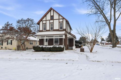 Tiny photo for 503 W PALACE, Geneseo, IL 61254 (MLS # QC4270057)