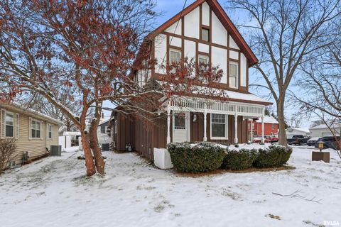 Tiny photo for 503 W PALACE, Geneseo, IL 61254 (MLS # QC4270057)