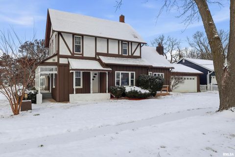 Tiny photo for 503 W PALACE, Geneseo, IL 61254 (MLS # QC4270057)