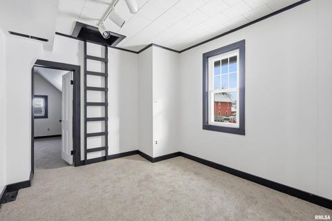 Tiny photo for 503 W PALACE, Geneseo, IL 61254 (MLS # QC4270057)