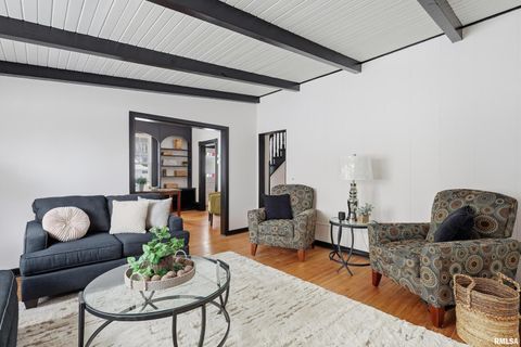 Tiny photo for 503 W PALACE, Geneseo, IL 61254 (MLS # QC4270057)