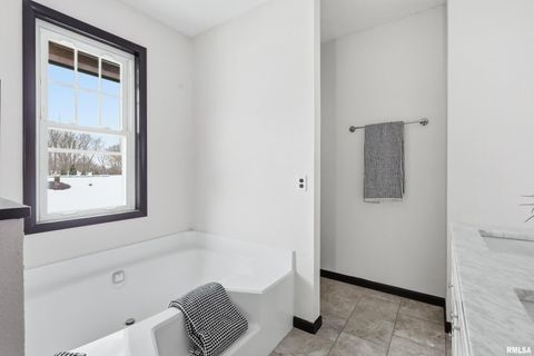 Tiny photo for 503 W PALACE, Geneseo, IL 61254 (MLS # QC4270057)