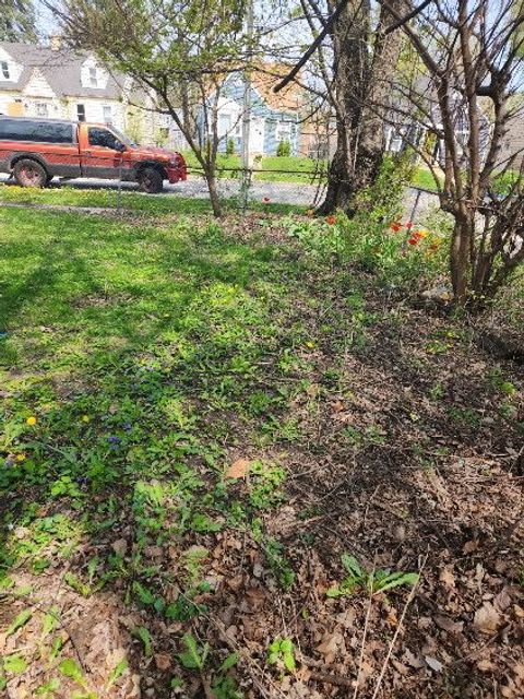 Tiny photo for 14201 S WENTWORTH Avenue, Riverdale, IL 60827 (MLS # 12481235)