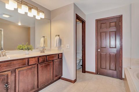 Tiny photo for 8654 Saddlebred Court #8654, Frankfort, IL 60423 (MLS # 12516153)