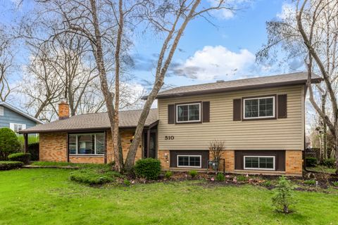 Photo of 510 Audubon Street, Hoffman Estates, IL 60169 (MLS # 12578165)