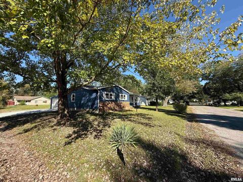 Tiny photo for 1350 Sebring Way, Carbondale, IL 62901 (MLS # EB460077)