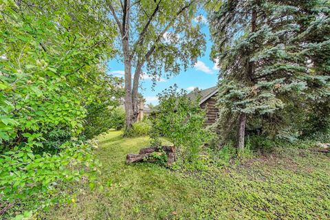 Tiny photo for 738 N Parker Street, Elmhurst, IL 60126 (MLS # 12560918)
