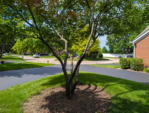 Tiny photo for 1541 N KENDAL Court, Arlington Heights, IL 60004 (MLS # 12670680)
