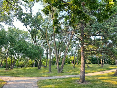 Tiny photo for 8905 Knight Avenue #108, Des Plaines, IL 60016 (MLS # 12718223)