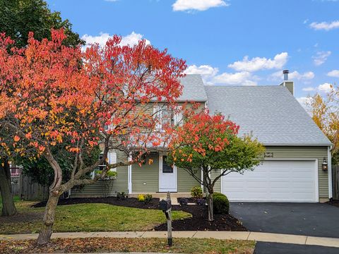 3290 johnsbury Court Aurora IL 60504