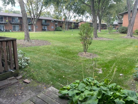 Tiny photo for 1480 S BUSSE Road #1F, Mount Prospect, IL 60056 (MLS # 12782647)