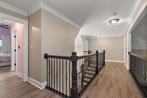 Tiny photo for Frankfort, IL 60423 (MLS # 12510397)